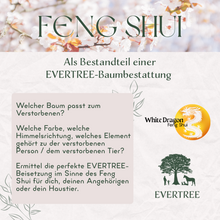 Lade das Bild in den Galerie-Viewer, Feng Shui-Bestattung